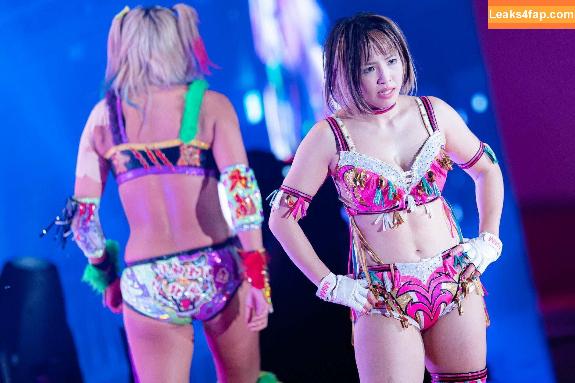 Mina Shirakawa / mina_shirakawa leaked photo photo #0282