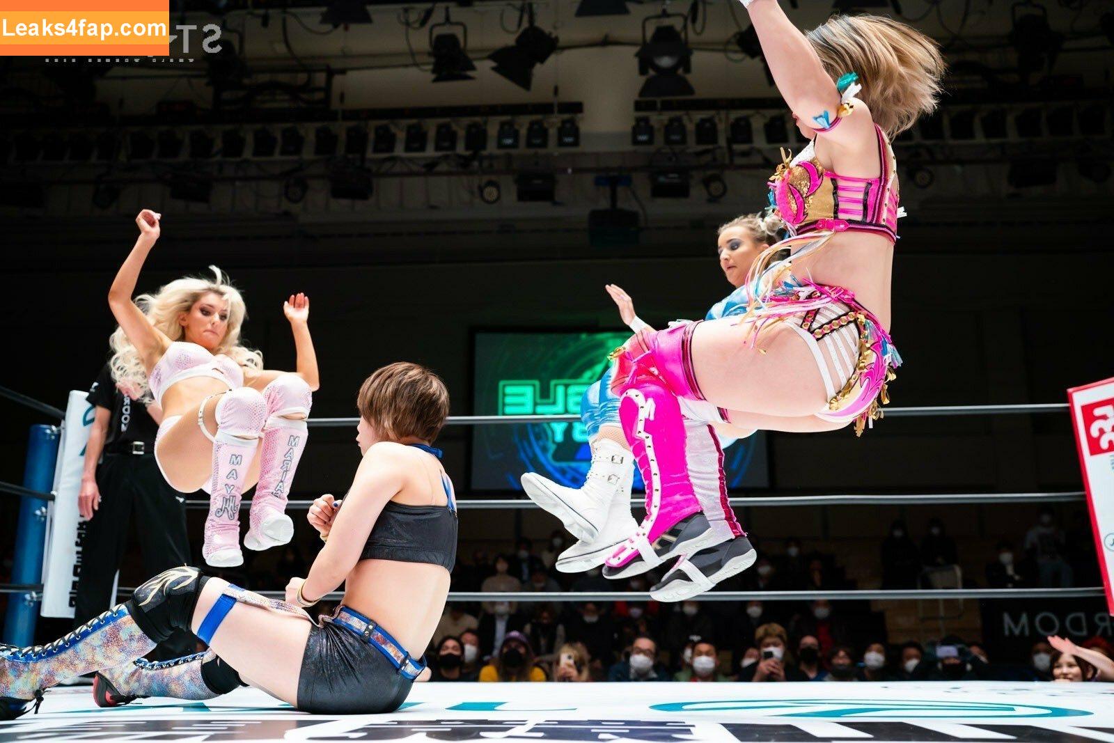 Mina Shirakawa / mina_shirakawa leaked photo photo #0307