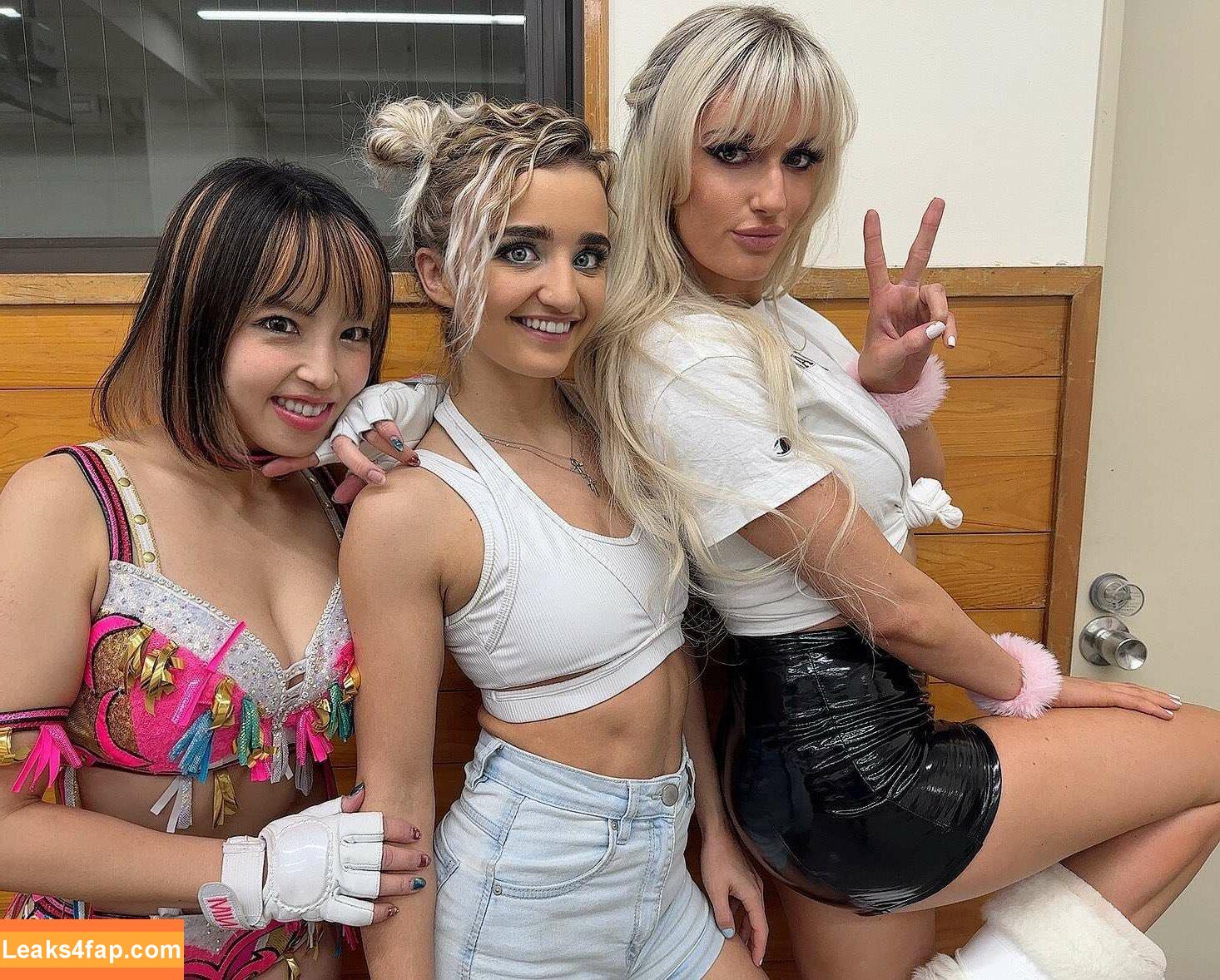 Mina Shirakawa / mina_shirakawa leaked photo photo #0314