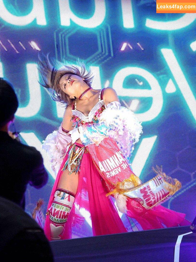 Mina Shirakawa / mina_shirakawa leaked photo photo #0333