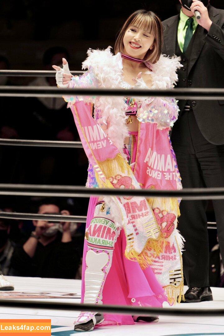 Mina Shirakawa / mina_shirakawa leaked photo photo #0342