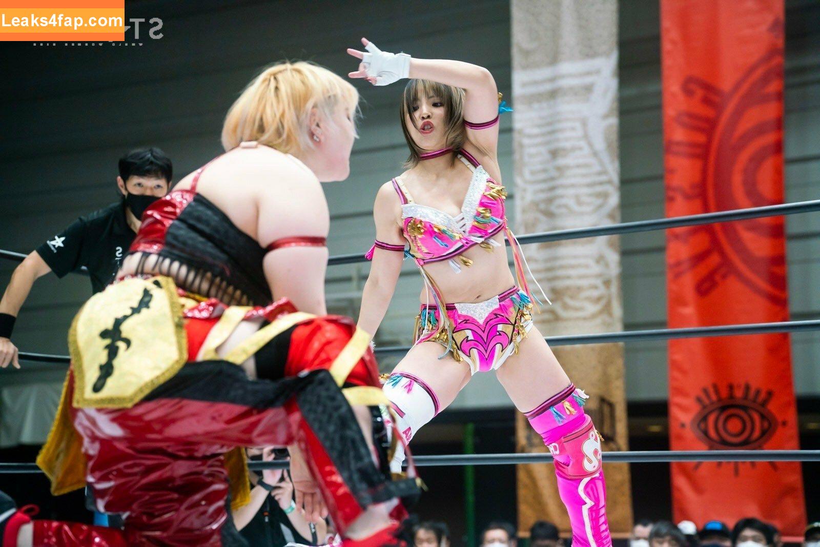 Mina Shirakawa / mina_shirakawa leaked photo photo #0348