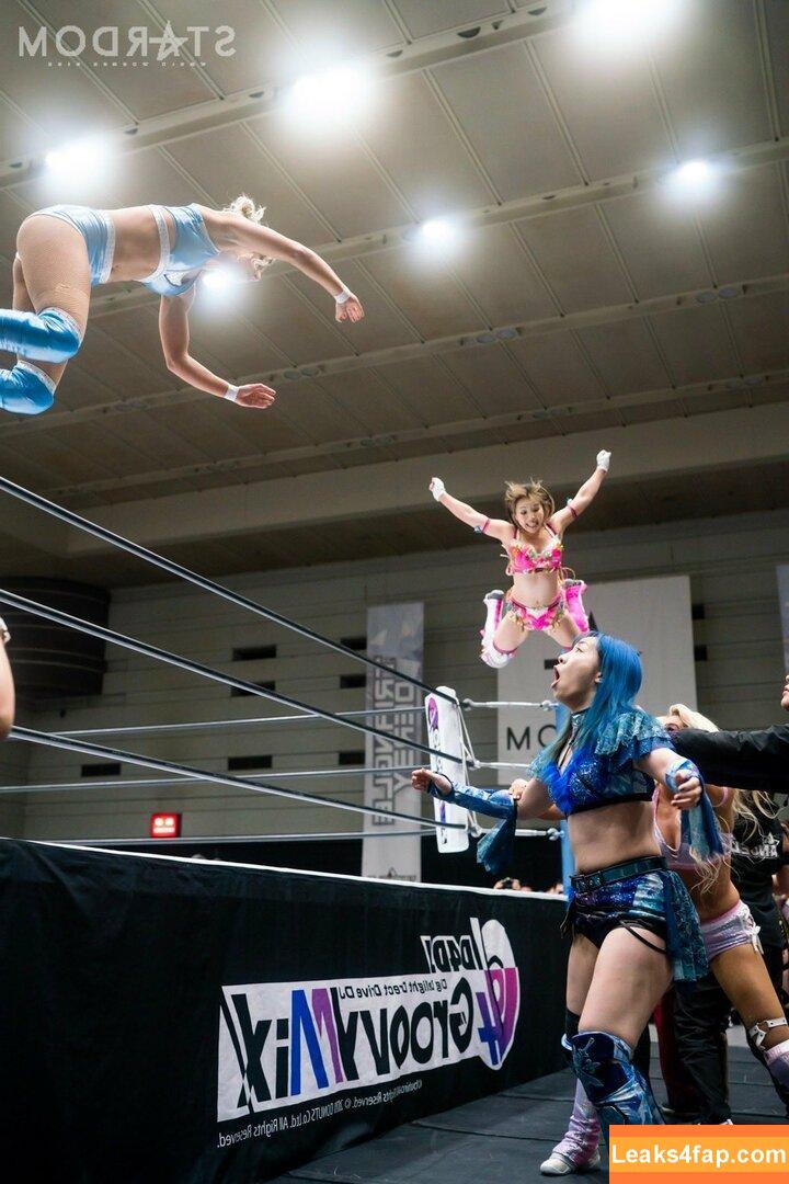 Mina Shirakawa / mina_shirakawa leaked photo photo #0349