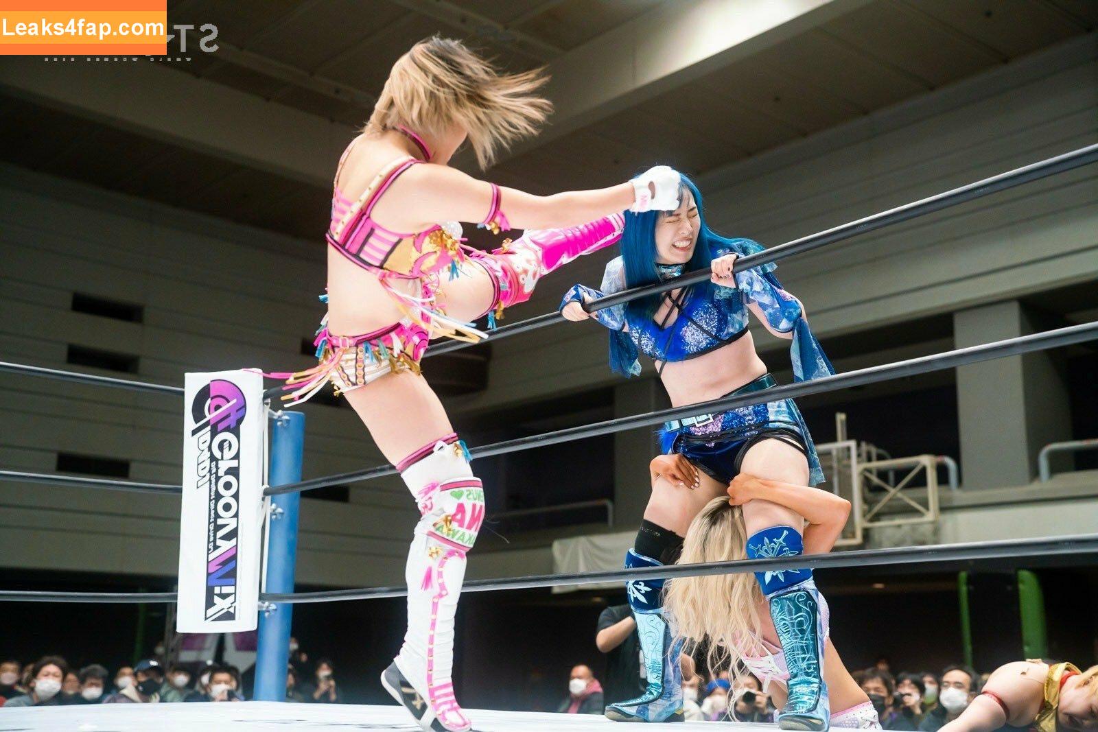 Mina Shirakawa / mina_shirakawa leaked photo photo #0351