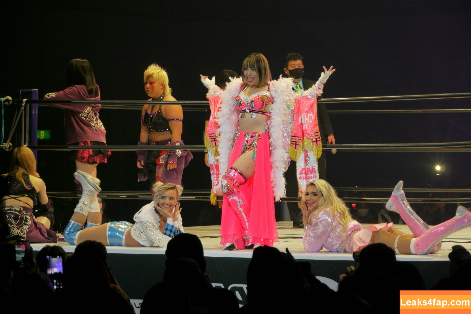 Mina Shirakawa / mina_shirakawa leaked photo photo #0354