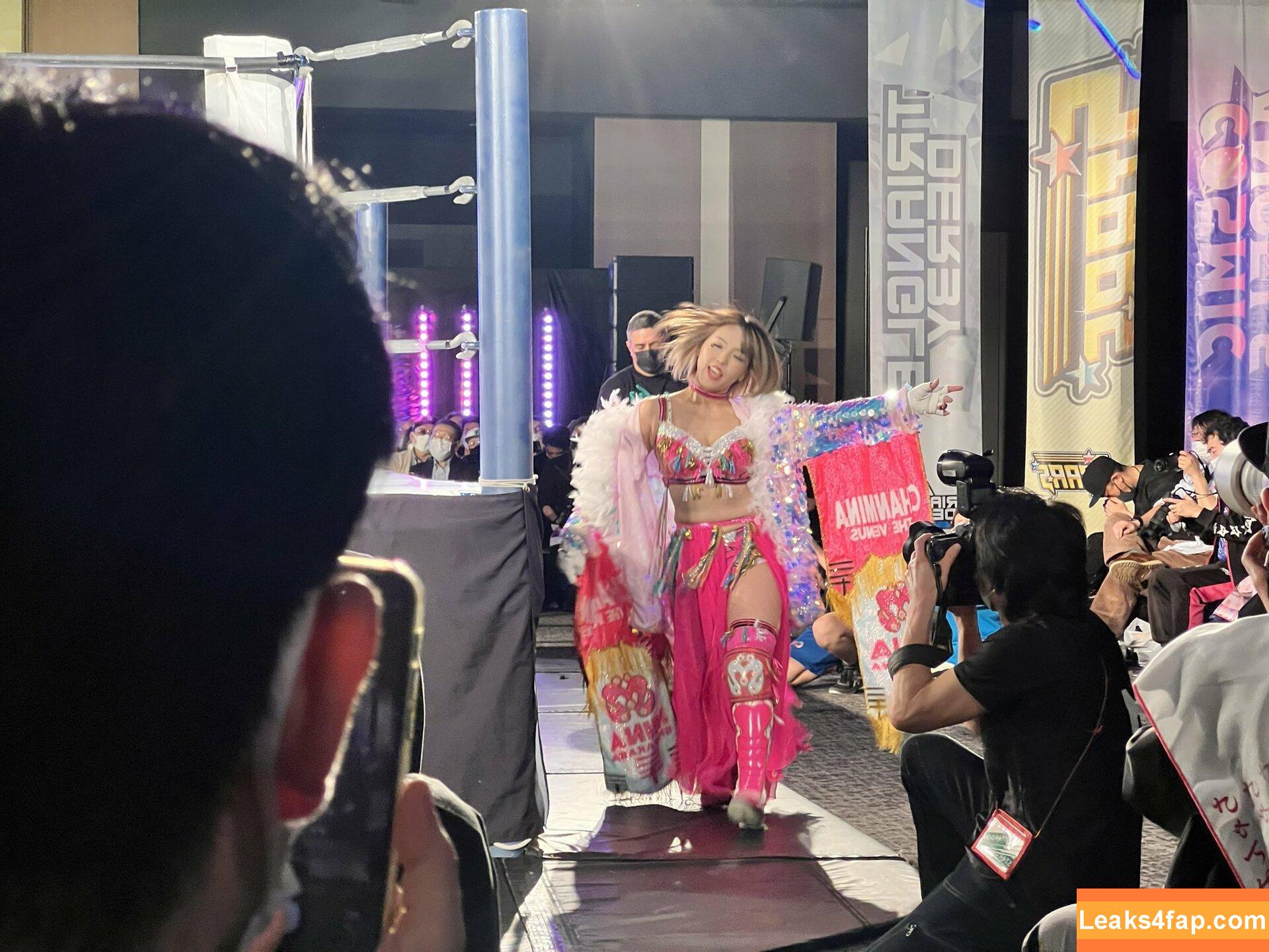 Mina Shirakawa / mina_shirakawa leaked photo photo #0363