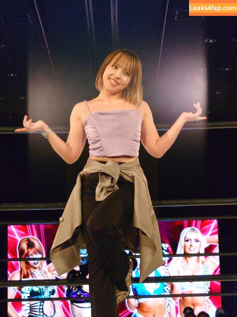 Mina Shirakawa / mina_shirakawa leaked photo photo #0364