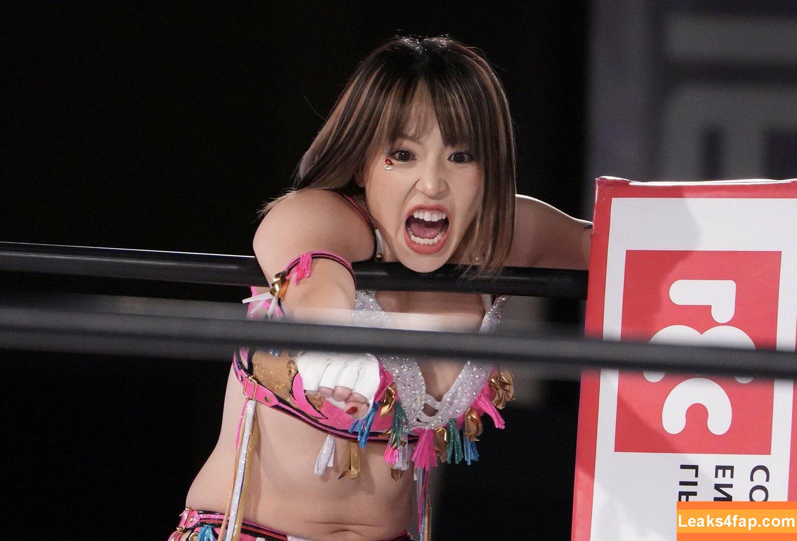 Mina Shirakawa / mina_shirakawa leaked photo photo #0365