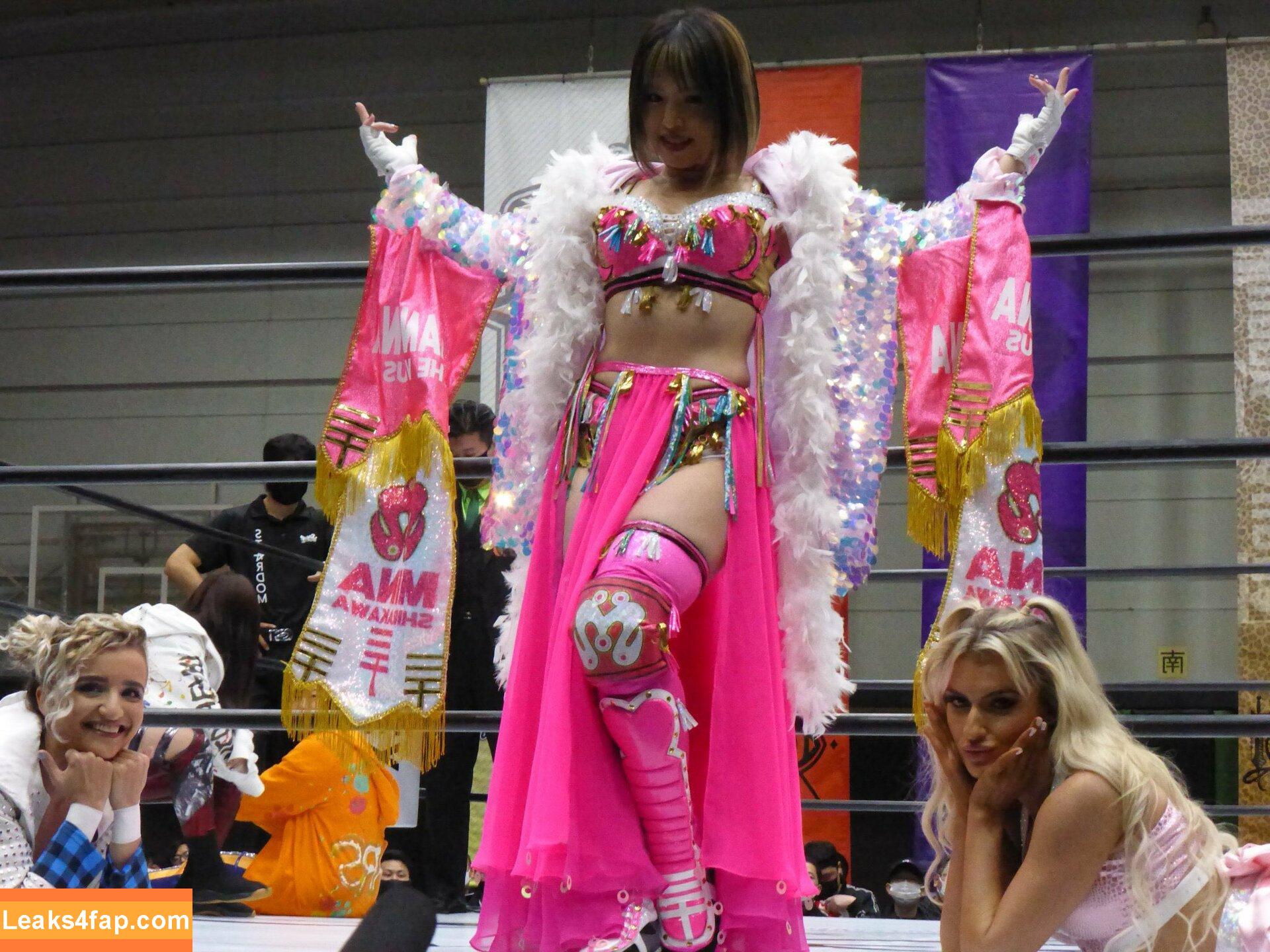 Mina Shirakawa / mina_shirakawa leaked photo photo #0378