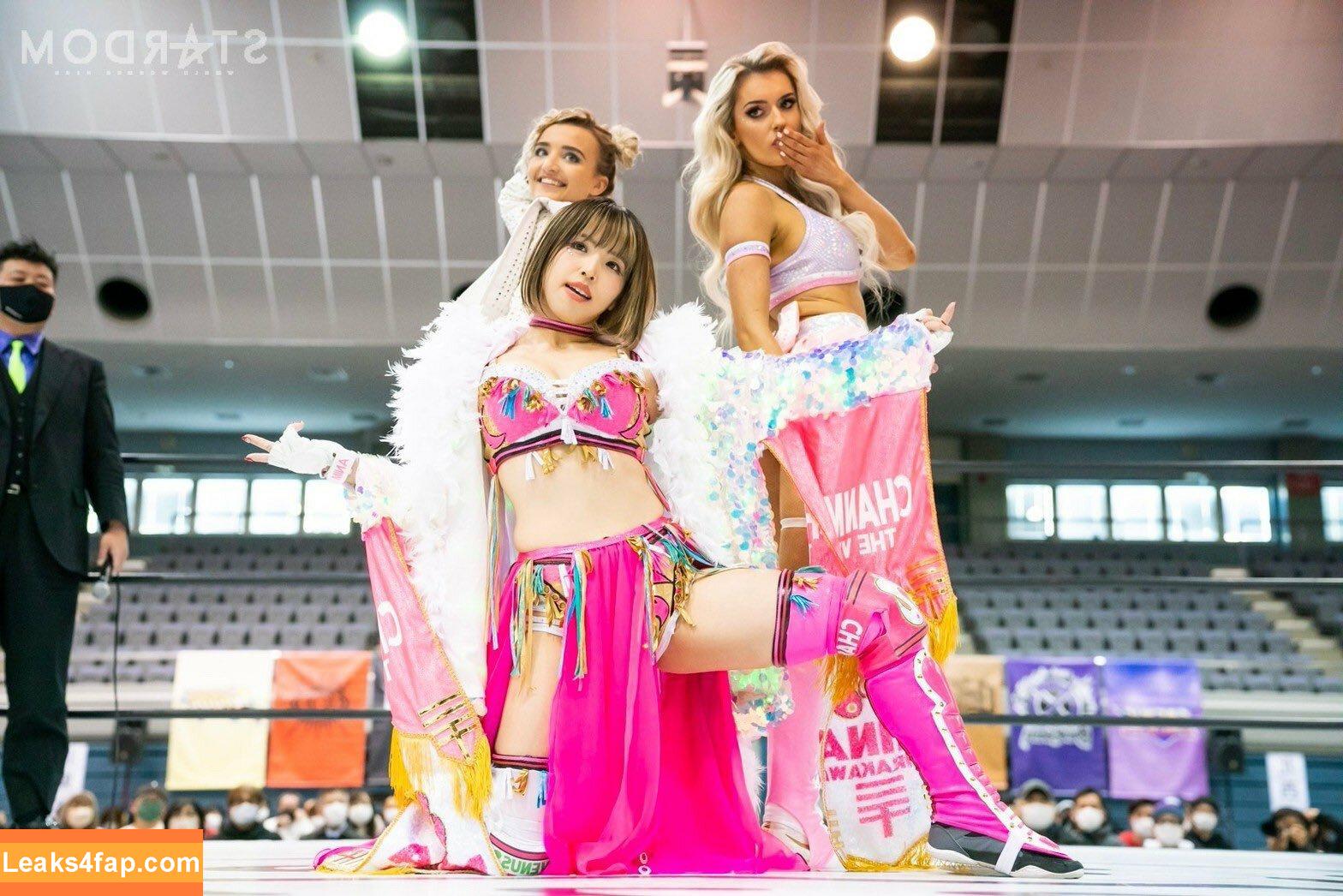 Mina Shirakawa / mina_shirakawa leaked photo photo #0395