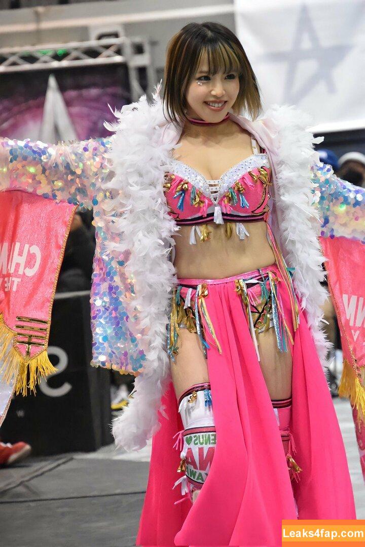 Mina Shirakawa / mina_shirakawa leaked photo photo #0396