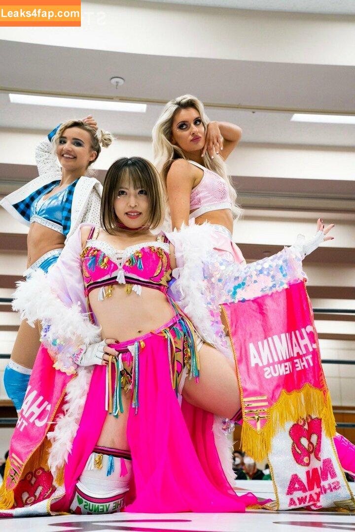 Mina Shirakawa / mina_shirakawa leaked photo photo #0397