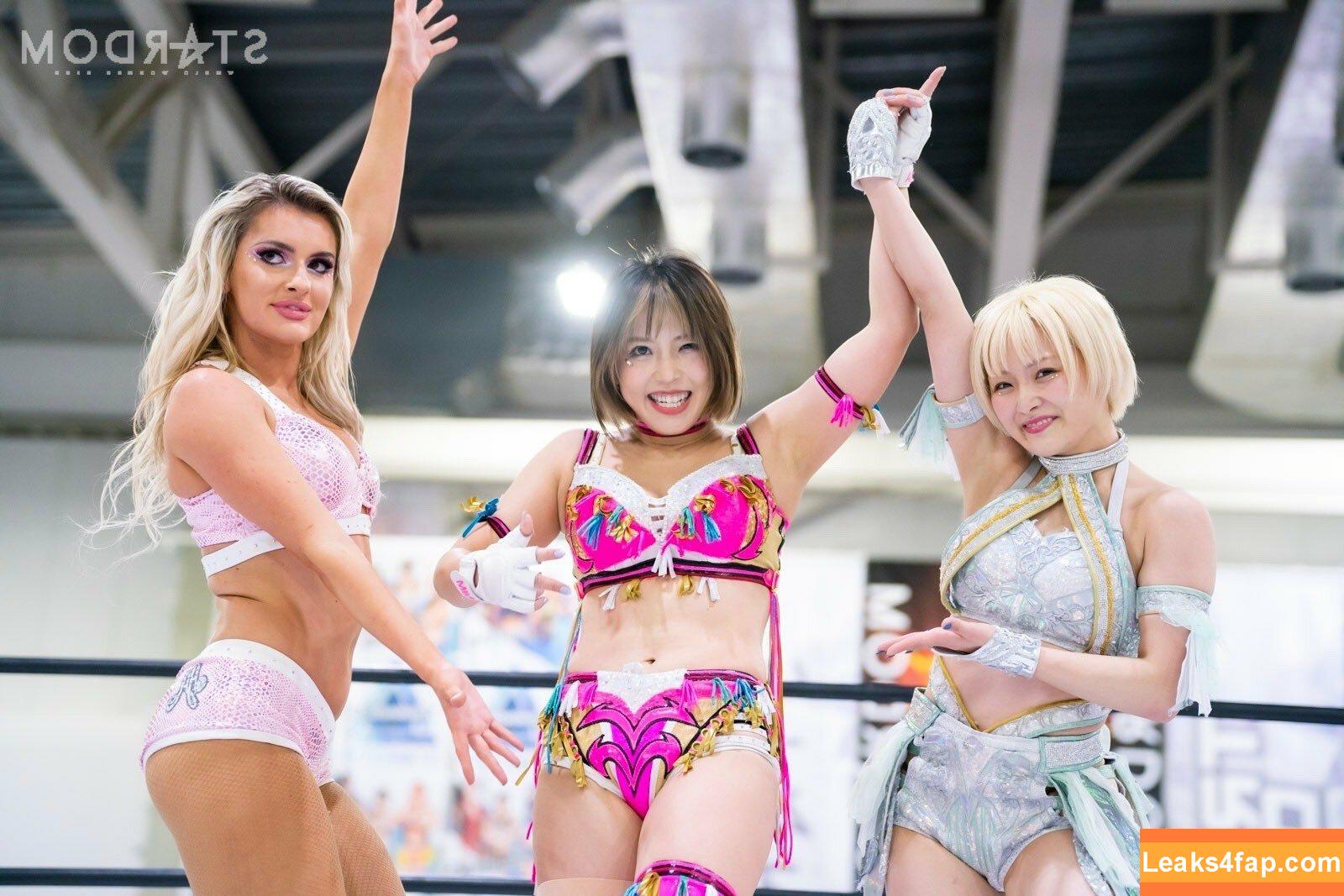 Mina Shirakawa / mina_shirakawa leaked photo photo #0422