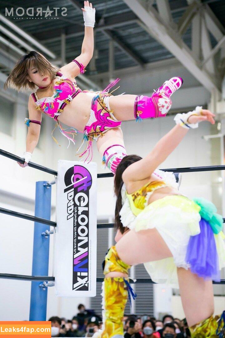 Mina Shirakawa / mina_shirakawa leaked photo photo #0423