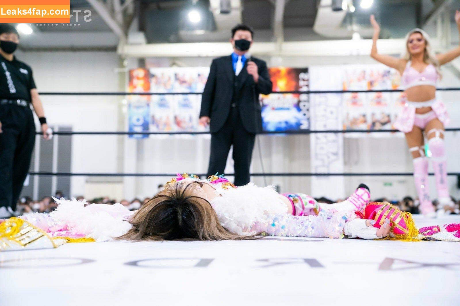 Mina Shirakawa / mina_shirakawa leaked photo photo #0433