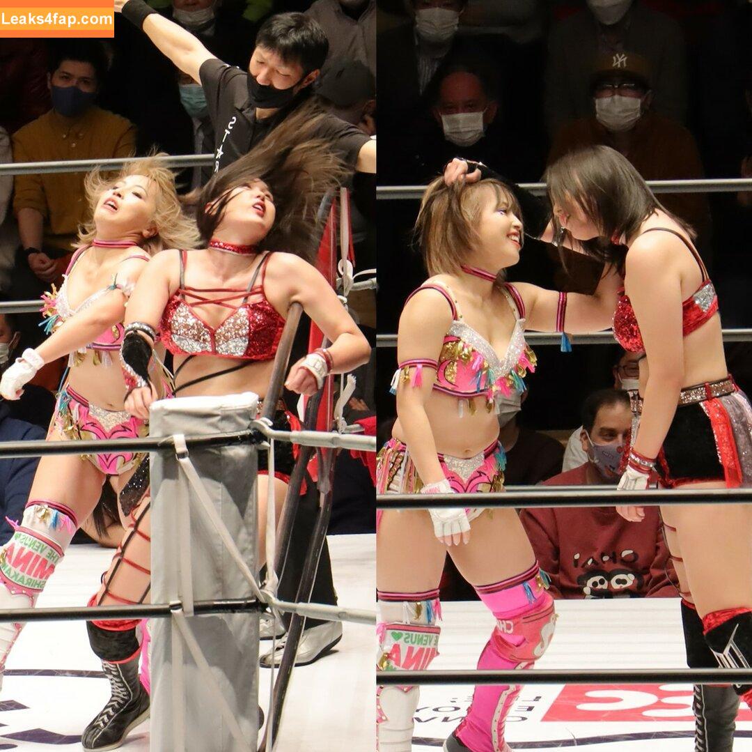 Mina Shirakawa / mina_shirakawa leaked photo photo #0445