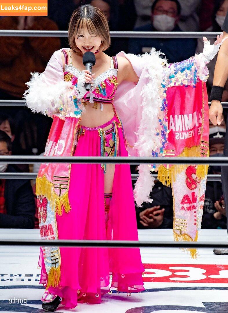 Mina Shirakawa / mina_shirakawa leaked photo photo #0446