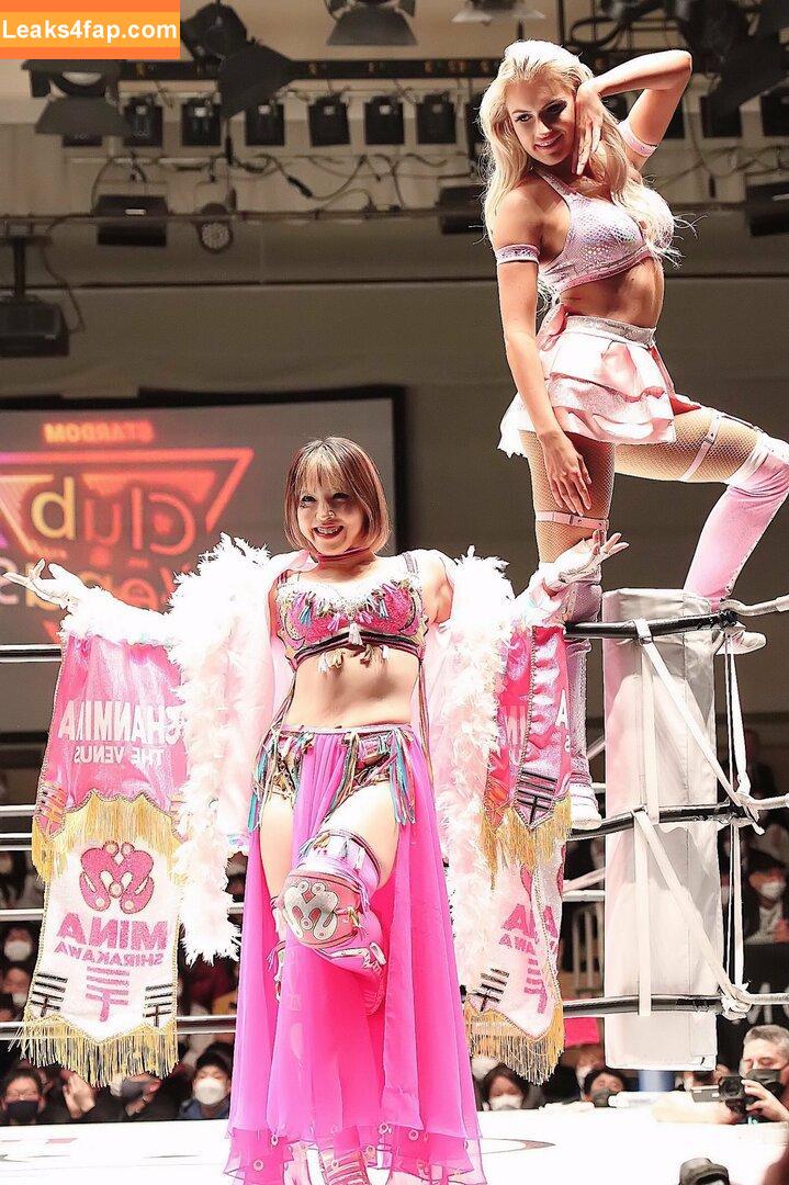 Mina Shirakawa / mina_shirakawa leaked photo photo #0459