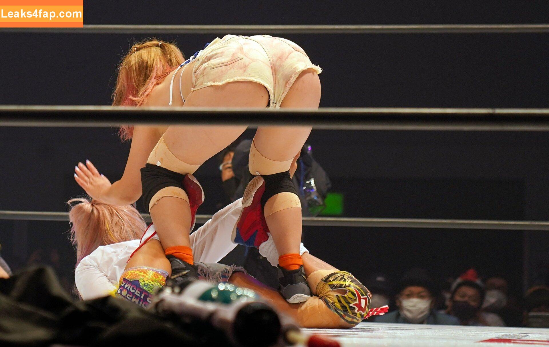 Mina Shirakawa / mina_shirakawa leaked photo photo #0464