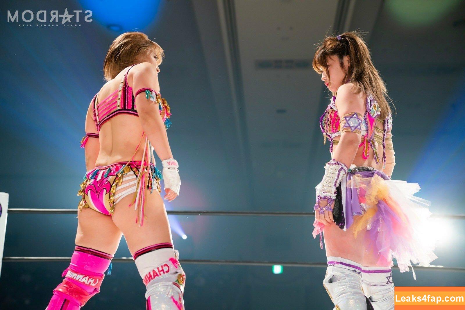 Mina Shirakawa / mina_shirakawa leaked photo photo #0474