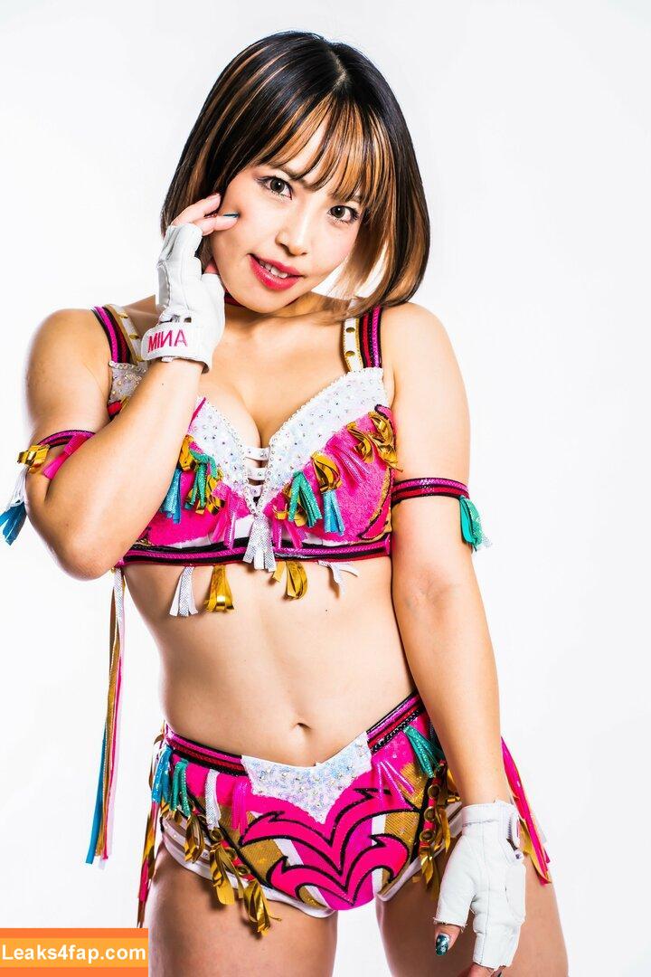 Mina Shirakawa / mina_shirakawa leaked photo photo #0481