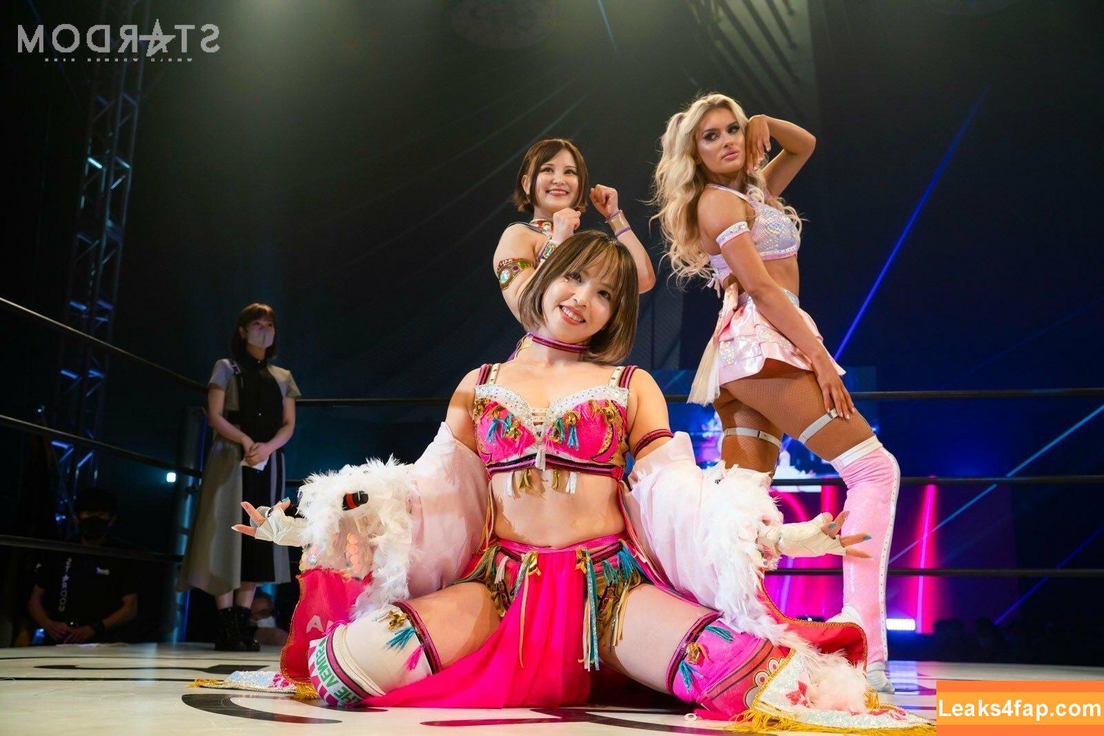 Mina Shirakawa / mina_shirakawa leaked photo photo #0484