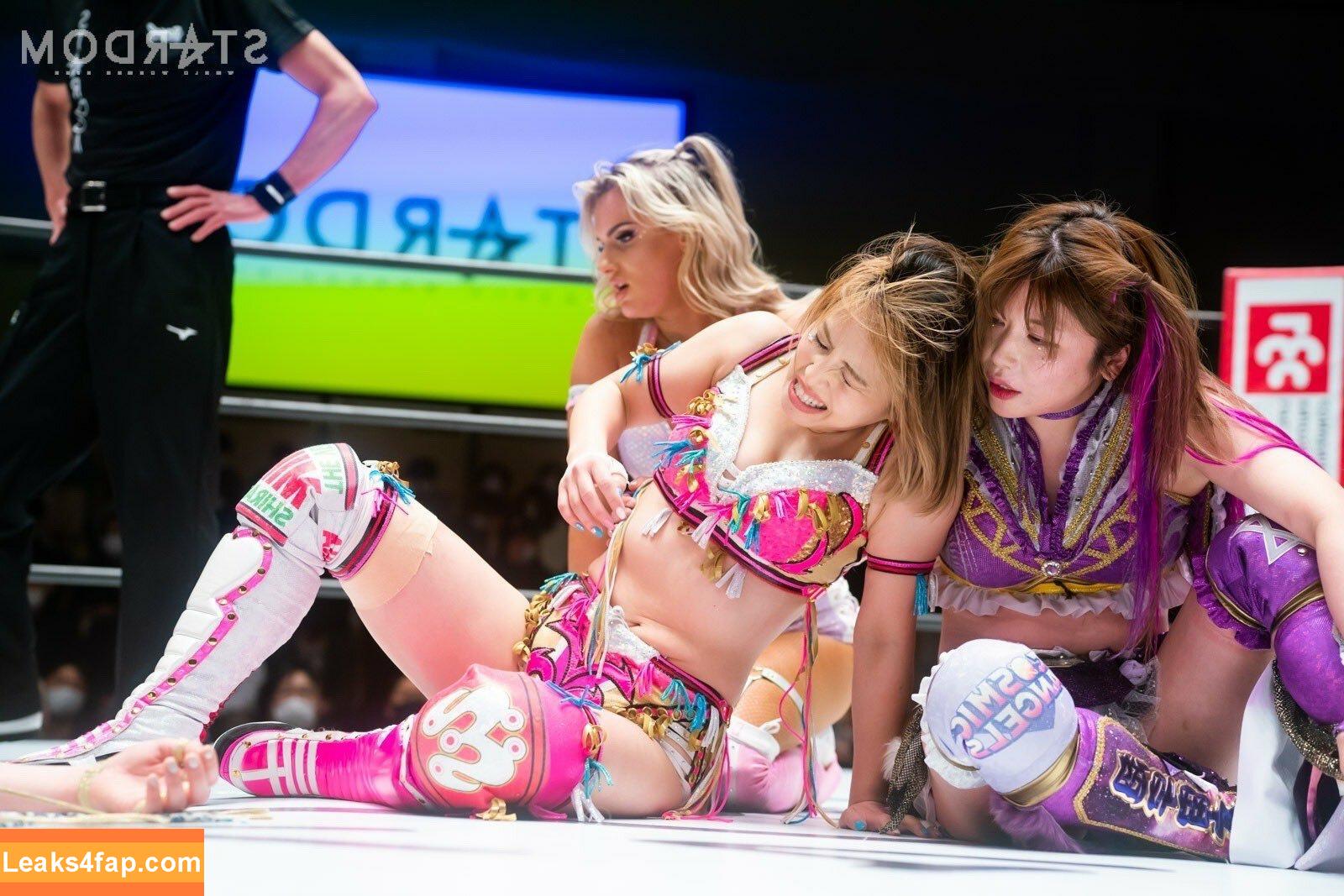 Mina Shirakawa / mina_shirakawa leaked photo photo #0500