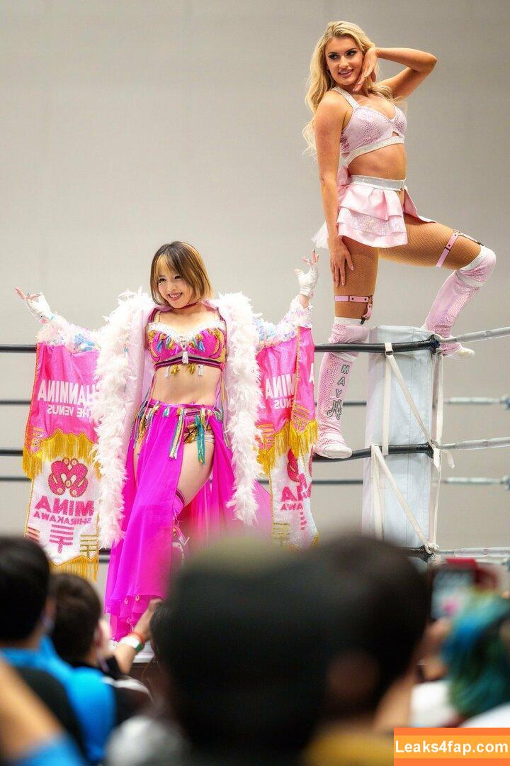 Mina Shirakawa / mina_shirakawa leaked photo photo #0504