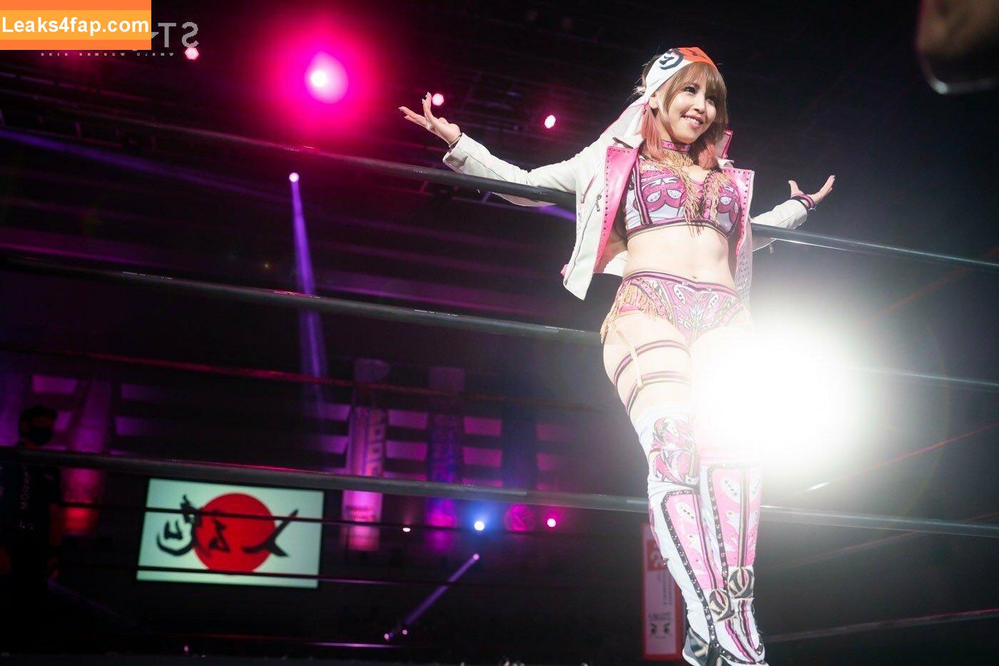 Mina Shirakawa / mina_shirakawa leaked photo photo #0508