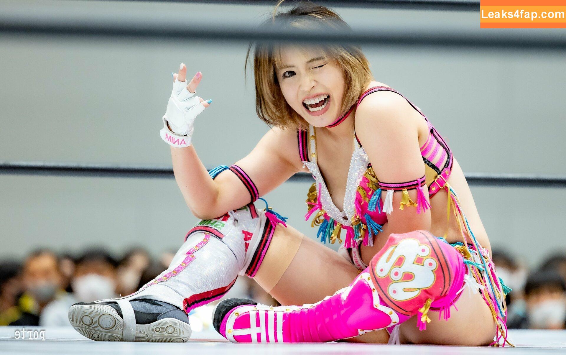 Mina Shirakawa / mina_shirakawa leaked photo photo #0510