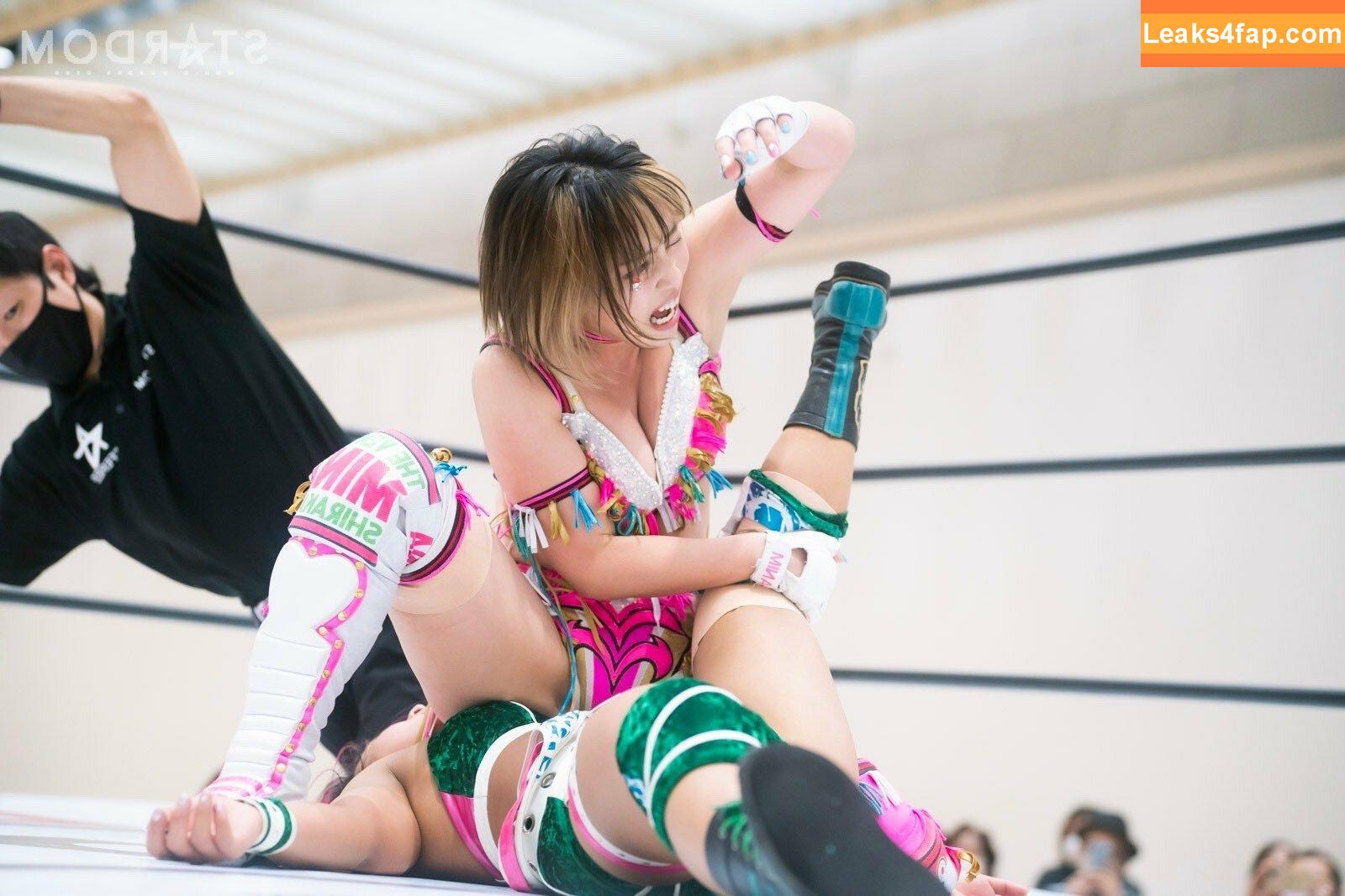 Mina Shirakawa / mina_shirakawa leaked photo photo #0523