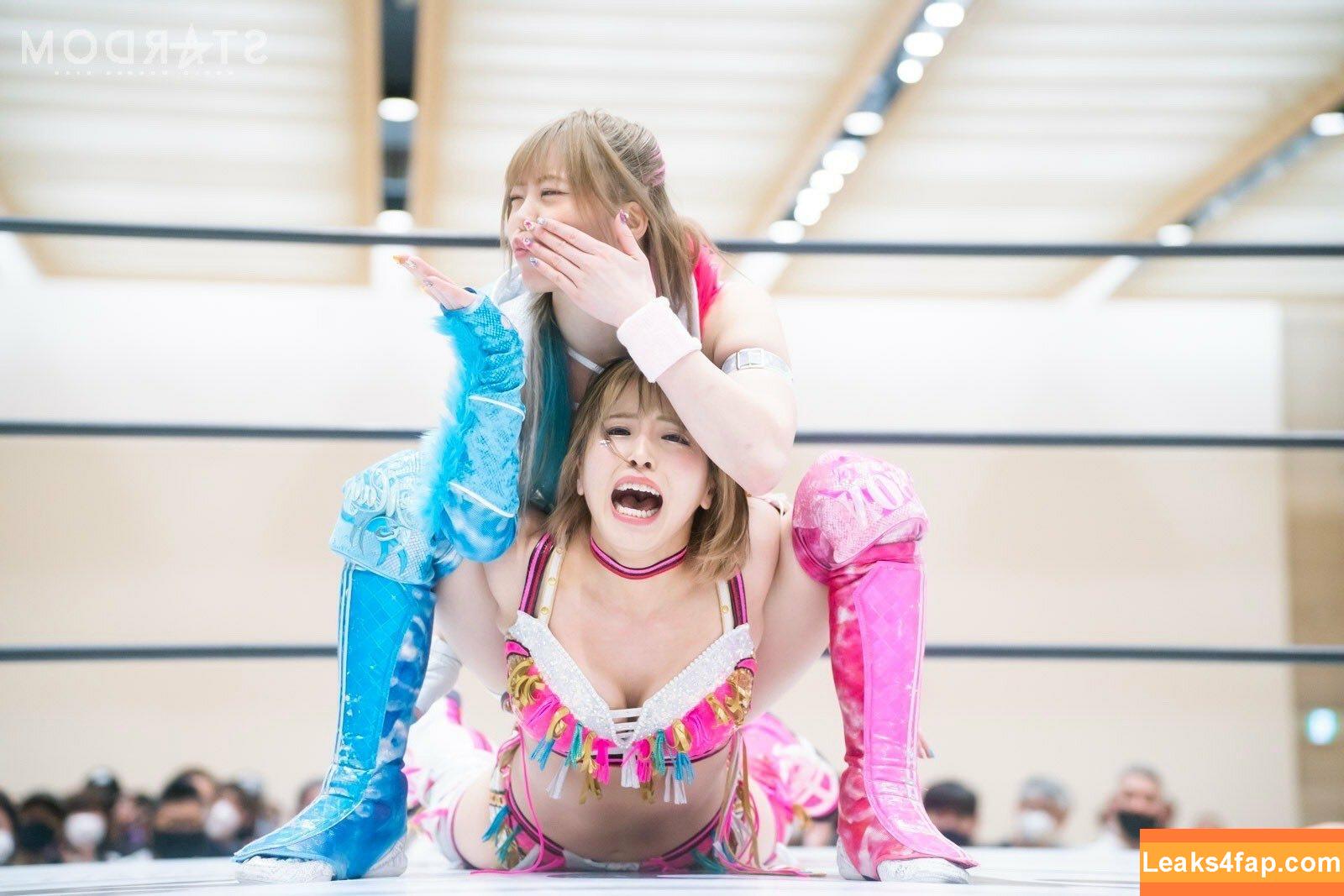 Mina Shirakawa / mina_shirakawa leaked photo photo #0524