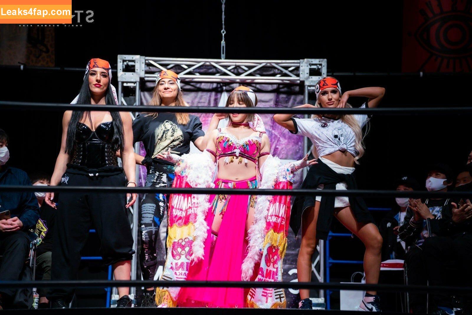 Mina Shirakawa / mina_shirakawa leaked photo photo #0535