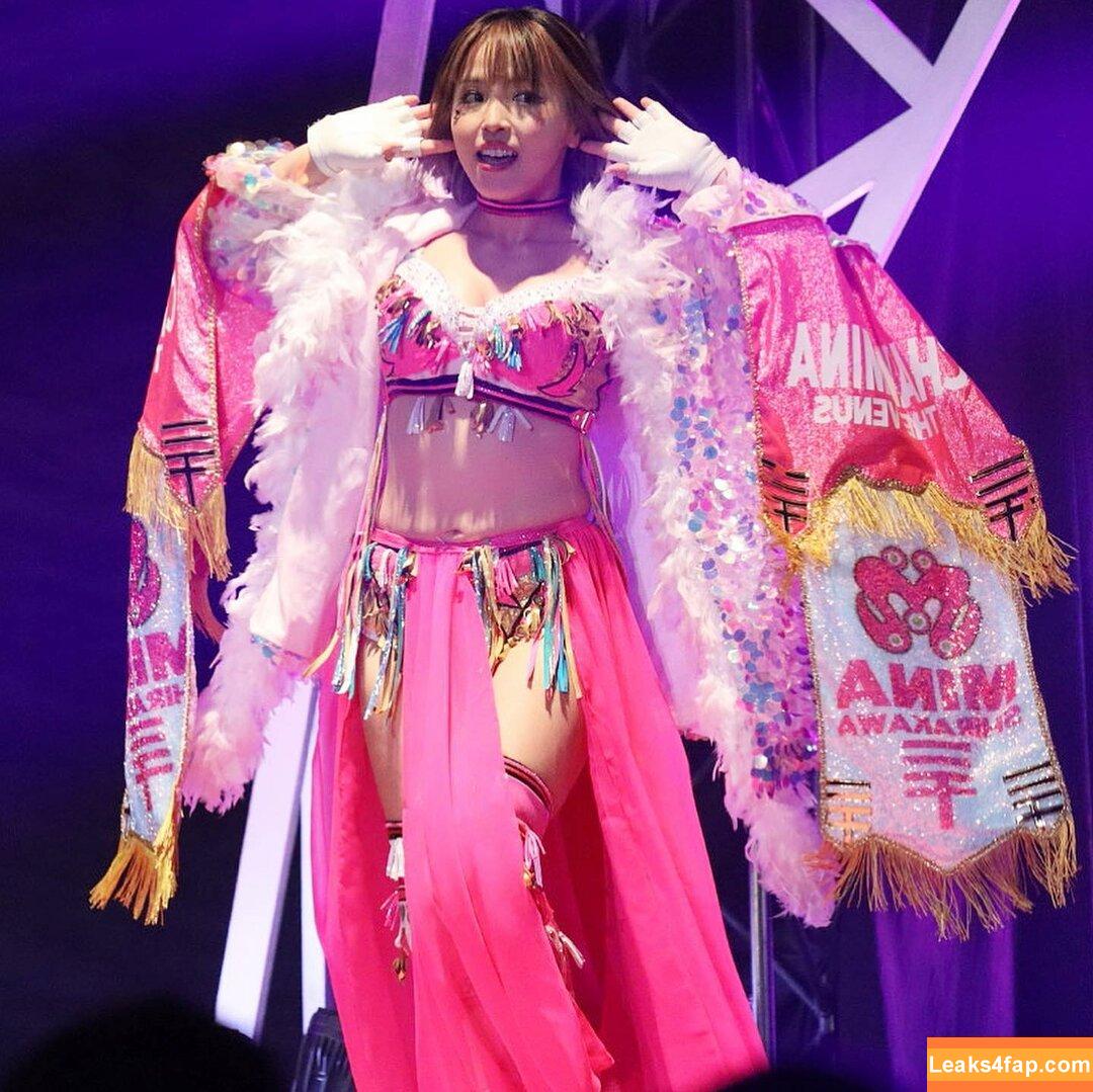Mina Shirakawa / mina_shirakawa leaked photo photo #0539