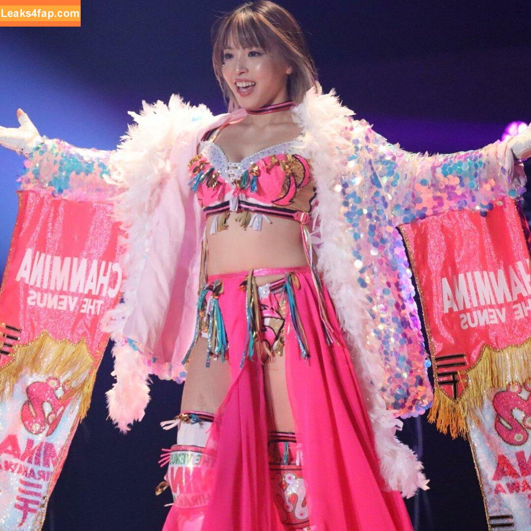 Mina Shirakawa / mina_shirakawa leaked photo photo #0540