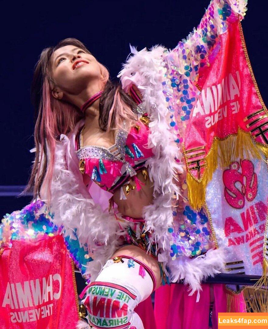 Mina Shirakawa / mina_shirakawa leaked photo photo #0543