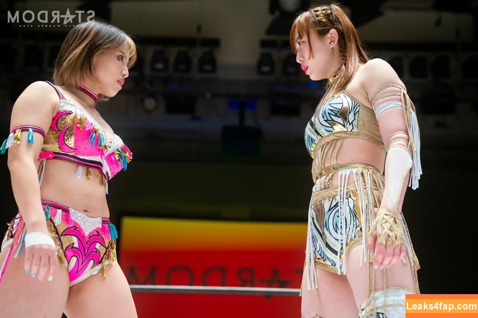 Mina Shirakawa / mina_shirakawa leaked photo photo #0563