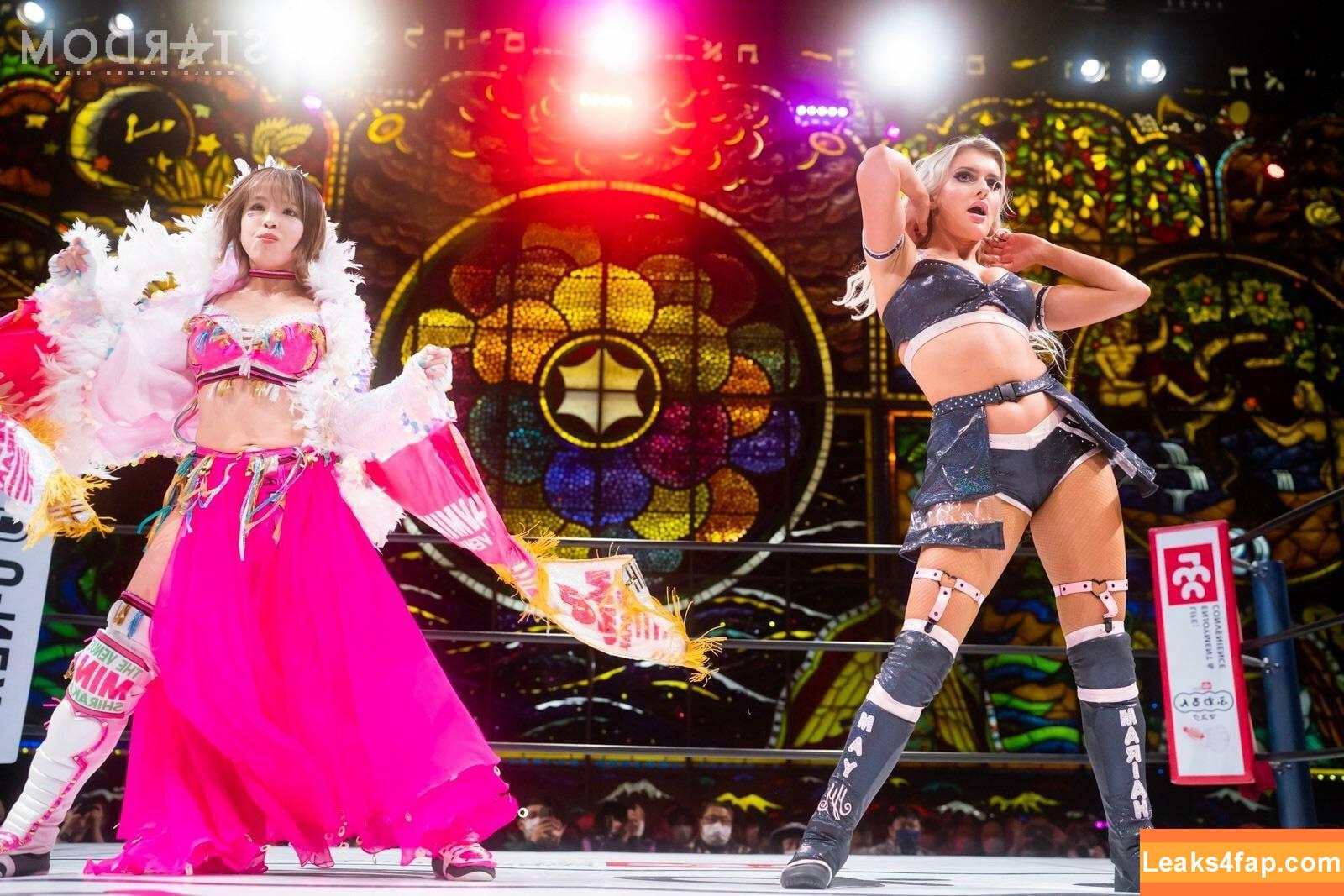 Mina Shirakawa / mina_shirakawa leaked photo photo #0567