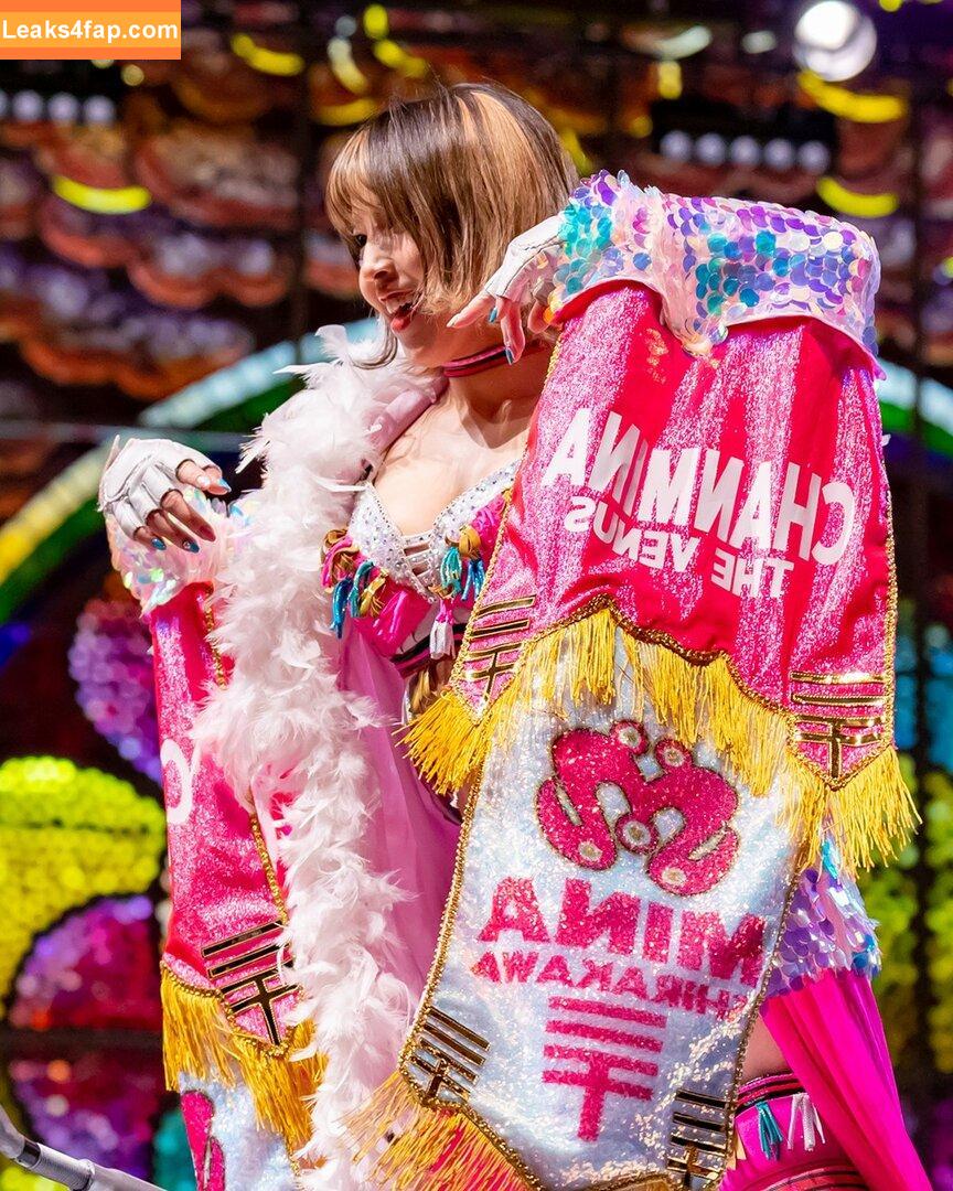 Mina Shirakawa / mina_shirakawa leaked photo photo #0573