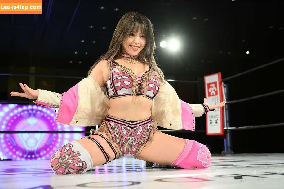 Mina Shirakawa / mina_shirakawa leaked photo photo #0576