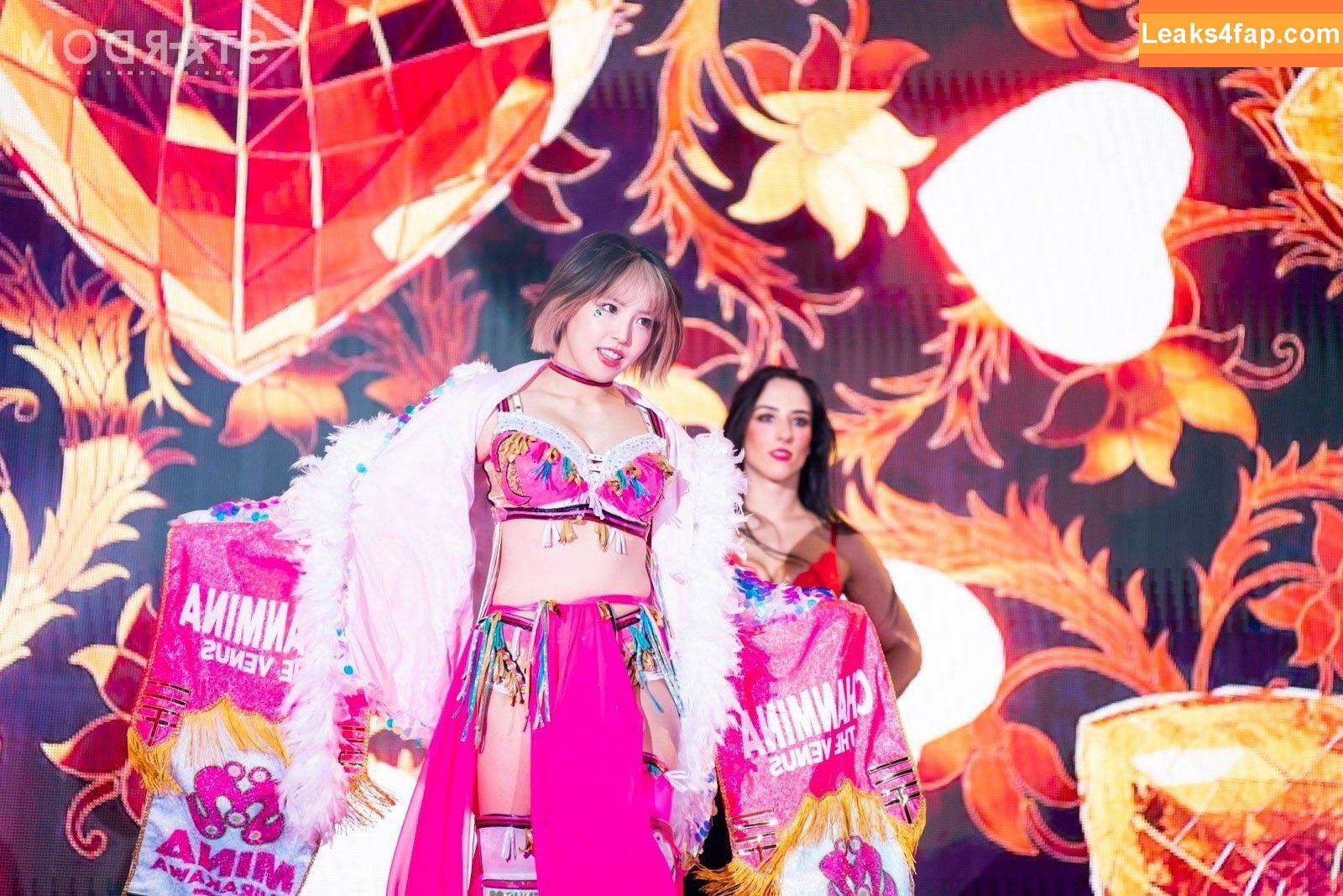 Mina Shirakawa / mina_shirakawa leaked photo photo #0578