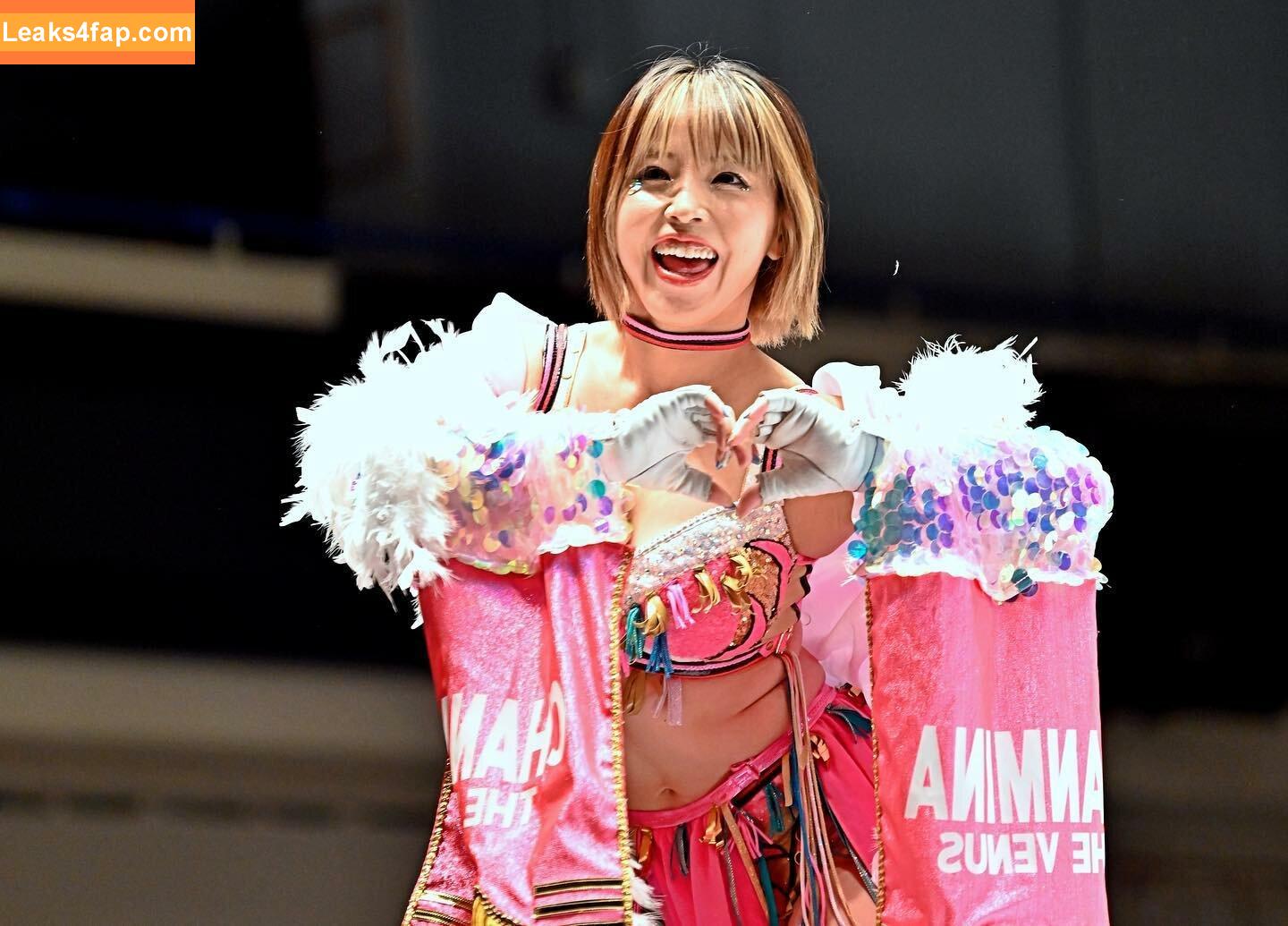 Mina Shirakawa / mina_shirakawa leaked photo photo #0589