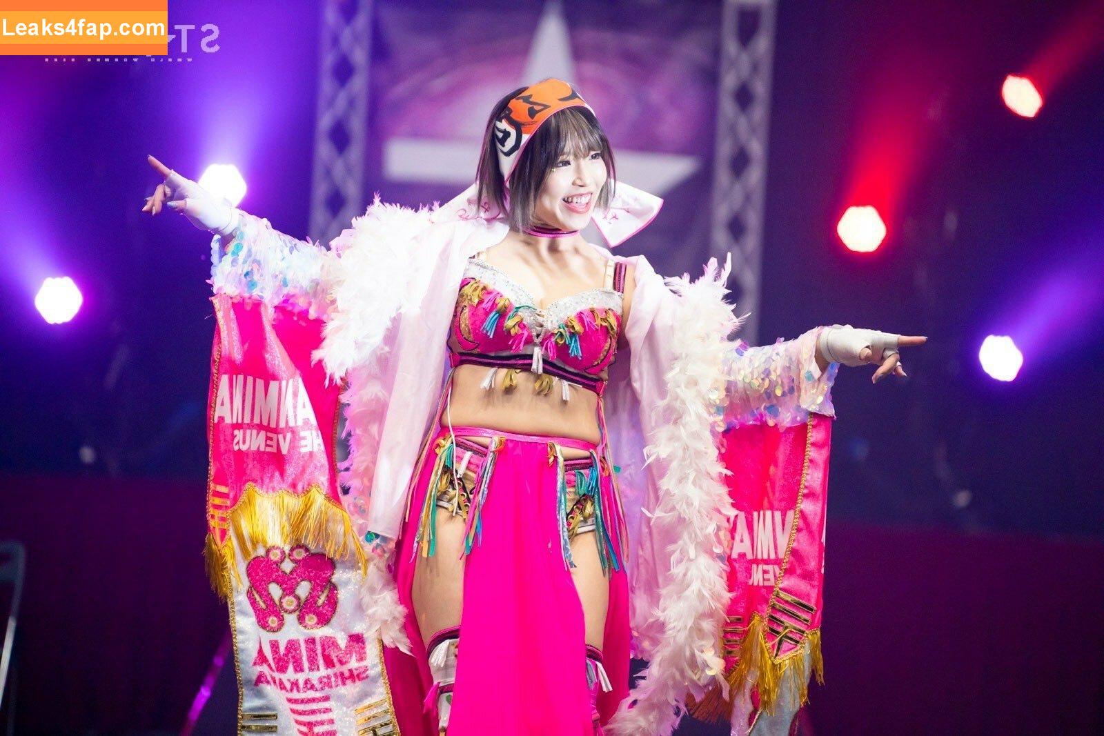 Mina Shirakawa / mina_shirakawa leaked photo photo #0591