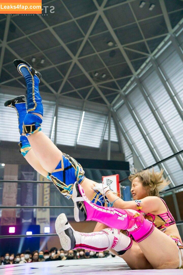 Mina Shirakawa / mina_shirakawa leaked photo photo #0593