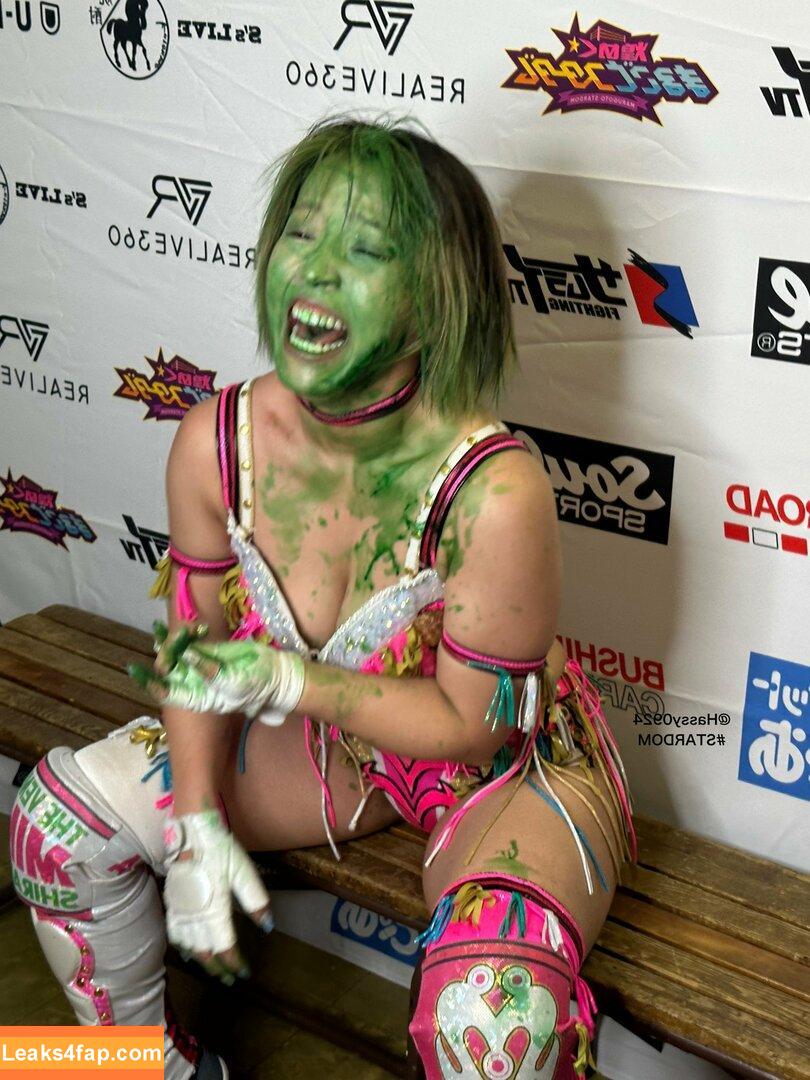 Mina Shirakawa / mina_shirakawa leaked photo photo #0598