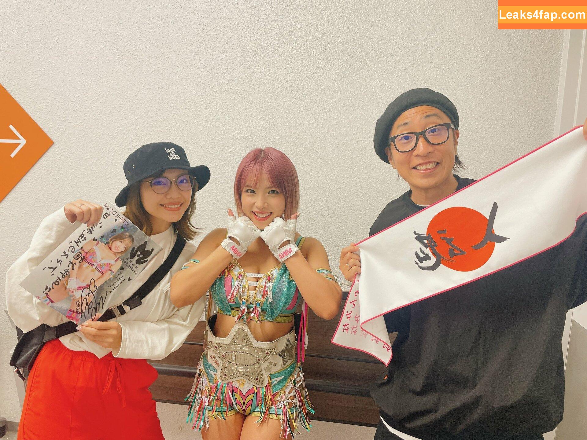 Mina Shirakawa / mina_shirakawa leaked photo photo #0639