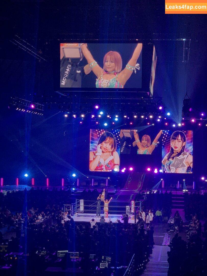 Mina Shirakawa / mina_shirakawa leaked photo photo #0643