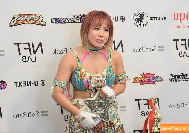 Mina Shirakawa / mina_shirakawa leaked photo photo #0651