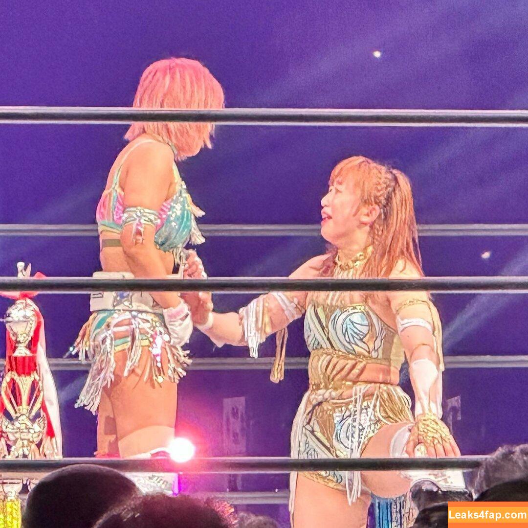 Mina Shirakawa / mina_shirakawa leaked photo photo #0708