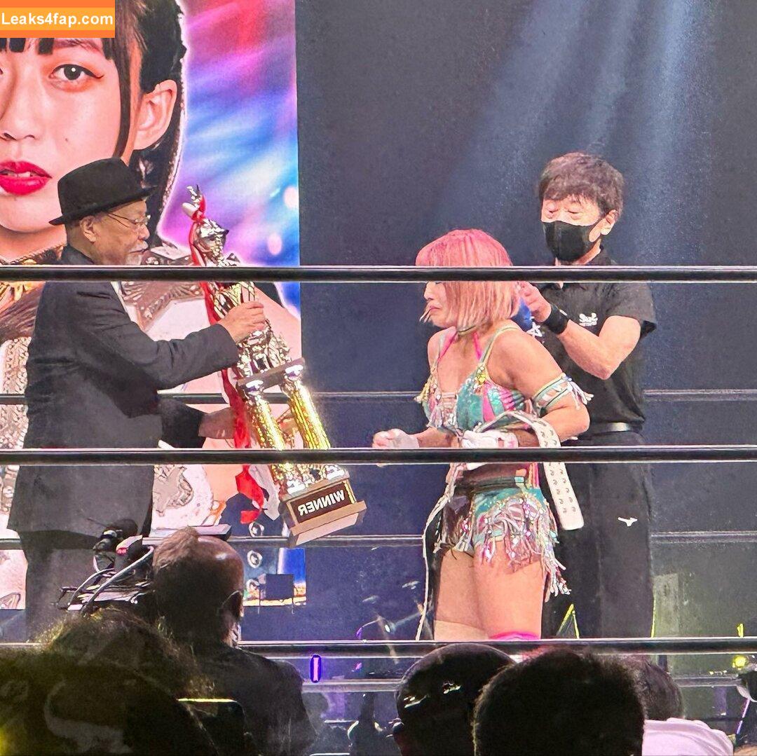 Mina Shirakawa / mina_shirakawa leaked photo photo #0720